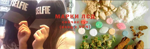стаф Касимов