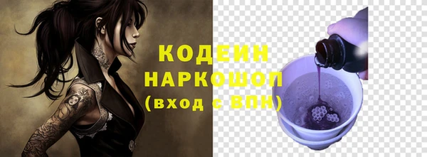 стаф Касимов