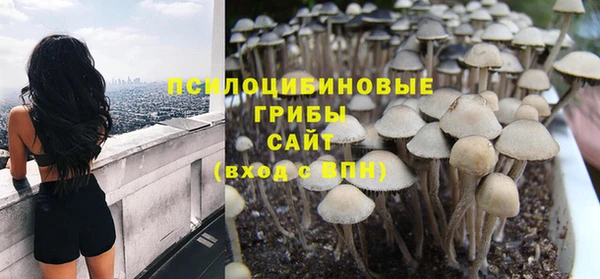 стаф Касимов