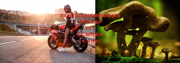 винт Киренск